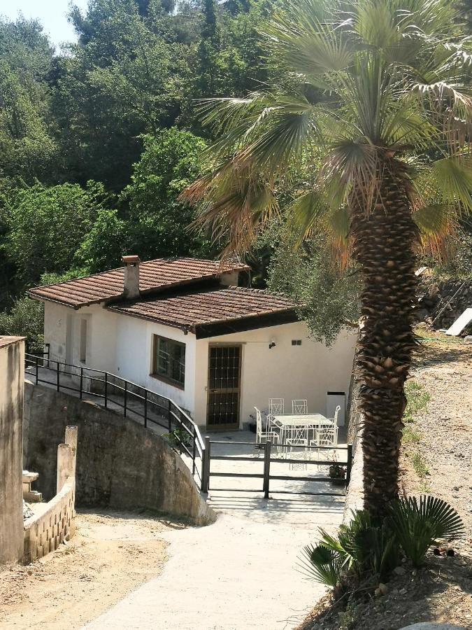 Willa La Casa Degli Ulivi Camporosso  Zewnętrze zdjęcie
